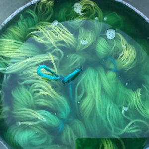 A vat of green dye with yarns immersed in it.