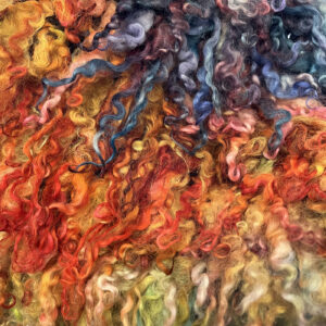 A colorful blend of wool locks displayed artistically.