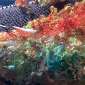 A board filled with brightly colored curly wool fibers.